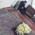 هه نگاو : حمله سپاه برای ربودن پیکر شهریار محمدی