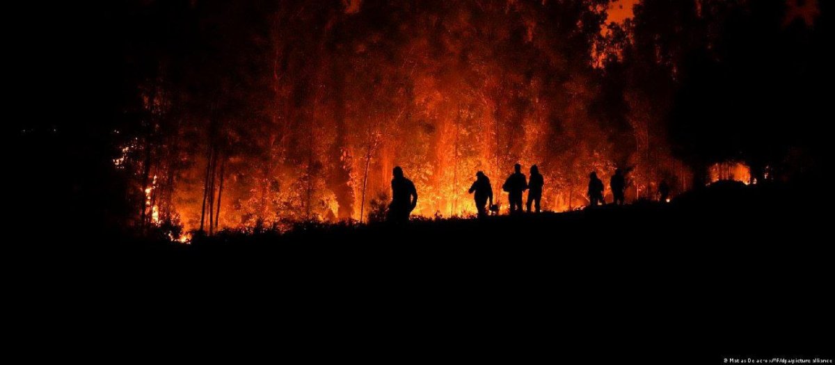 ۲۳ کشته در آتش‌سوزی‌ جنگل‌های شیلی