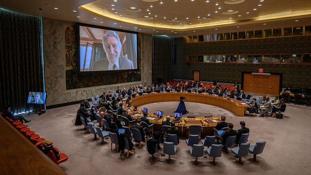 راجر واترز در شورای امنیت: تهاجم نظامی روسیه به اوکراین «غیرقانونی» است