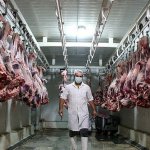 مدیر عامل اتحادیه مرکزی دام: گوشت را سودجویان گران کردند