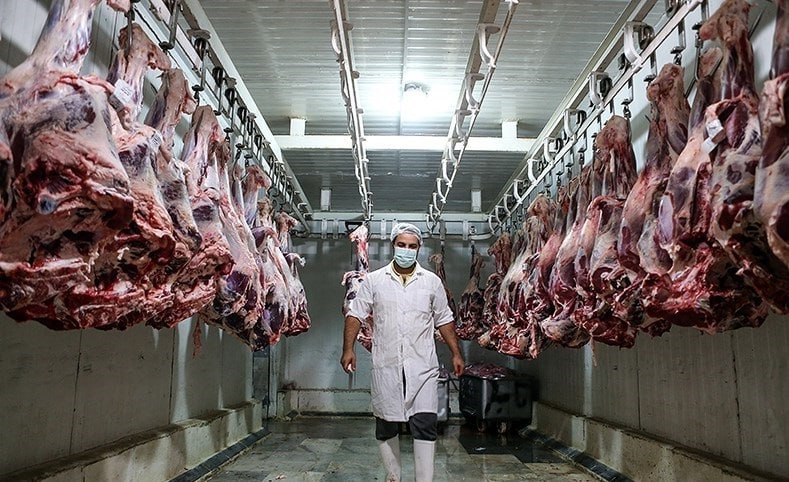 مدیر عامل اتحادیه مرکزی دام: گوشت را سودجویان گران کردند