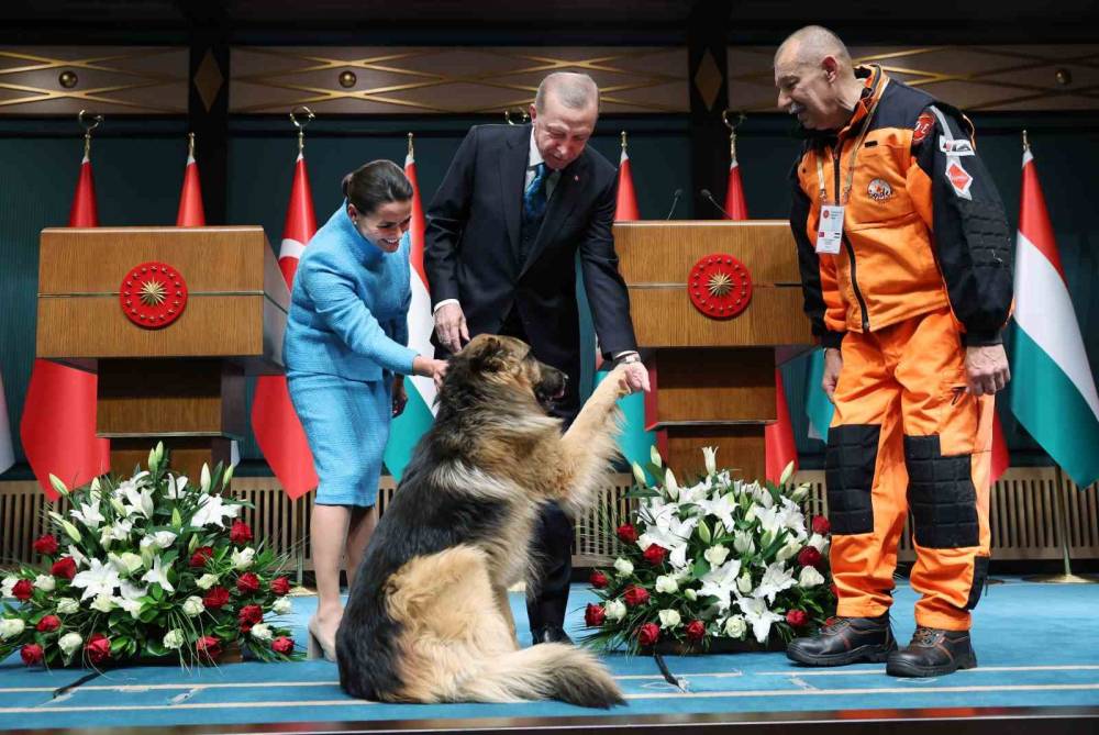 تقدیر از سگ امدادگر در ترکیه