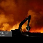 تالاب میقان اطفای حریق شد