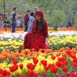 جشنواره لاله‌های آسارا بخاطر «حجاب» تعطیل شد