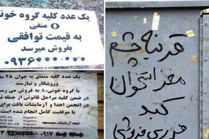 عراقی‌ها «کلیه» ایرانیان را به دلار می‌خرند