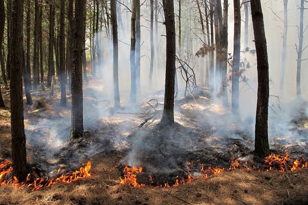 آتش‌سوزی در جنگل‌های گیلان و مازندران ادامه دارد