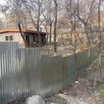 ادعای سخنگوی شورای شهر تهران: هیچ درختی برای ساخت مسجد قیطریه قطع نشده است