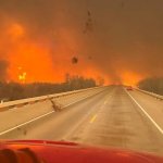 آتش‌سوزی در تگزاس ۵۰۰ هزار هکتار جنگل را سوزاند