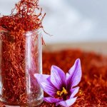 پنجم آبان‌ ماه روز ملی زعفران نام‌گذاری شد