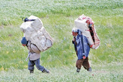 دو نهاد حقوق بشری از مسعود پزشکیان خواستند به آزار کولبران در ایران پایان داده شود