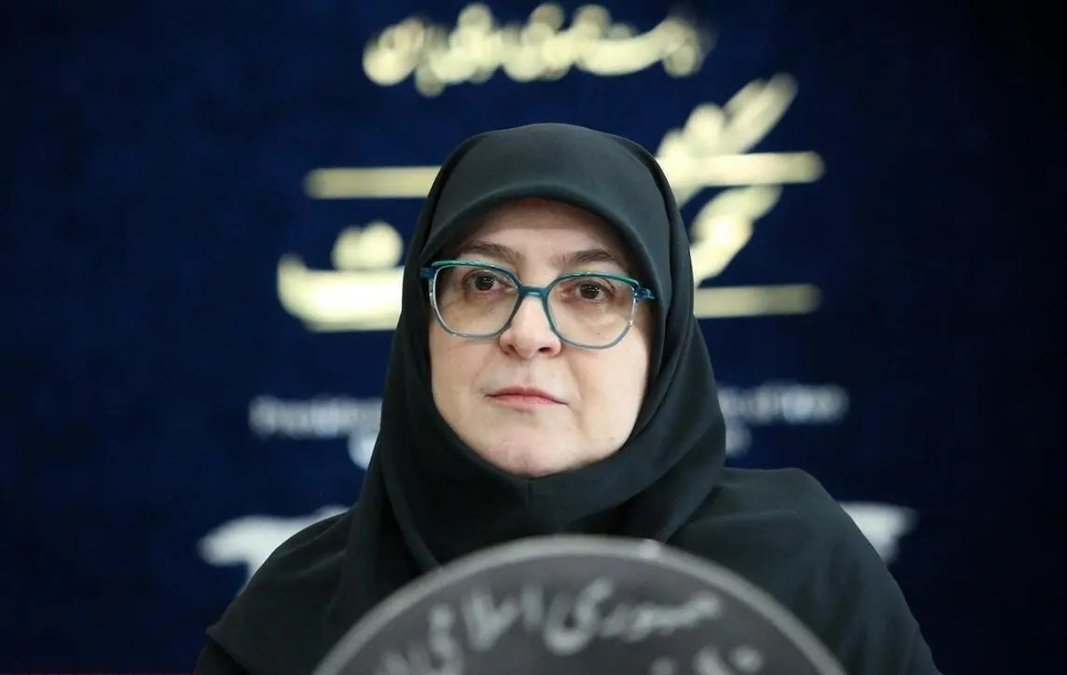 سخنگوی دولت: دلار ۹۵ هزار تومانی روی زندگی من هم سایه انداخته است