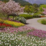 نرم نرمک می‌رسد اینک بهار