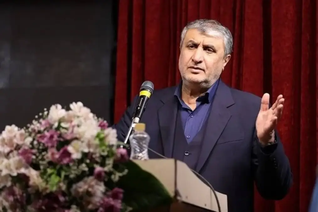 رئیس سازمان انرژی اتمی: فشار حداکثری هم نتوانست برنامه هسته‌ای را متوقف کند