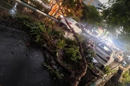 اورژانس تهران: ۶ نفر در تهران بر اثر طوفان مصدوم شدند