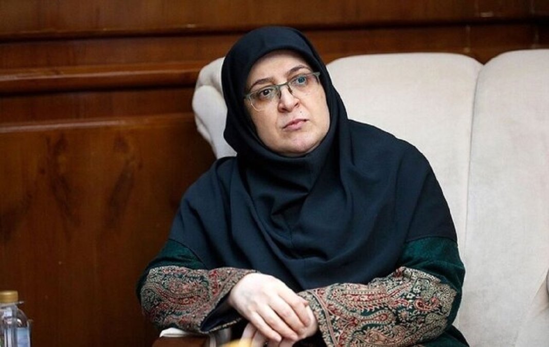 سخنگوی دولت: ایران به مذاکره ادامه خواهد داد