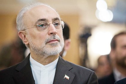 علی اکبر صالحی: روسیه اجازه نداد از سوخت ساخت ایران در راکتور بوشهر استفاده کنیم