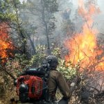 در آتش سوزی آبیدر سنندج ۲۲ نفر از هموطنان جان خود را از دست دادند
