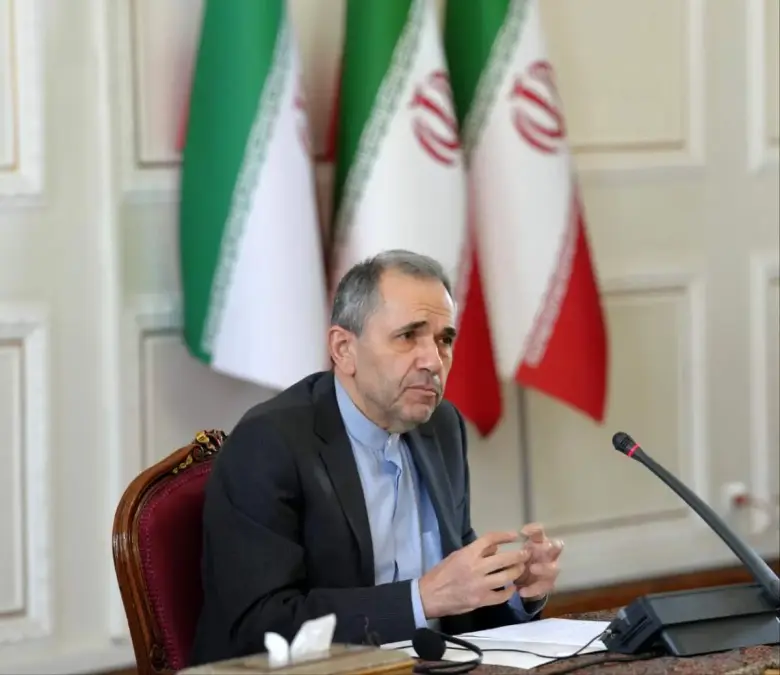 تخت‌روانچی: با وجود مصوبه مجلس، همکاری ما با آژانس ادامه دارد