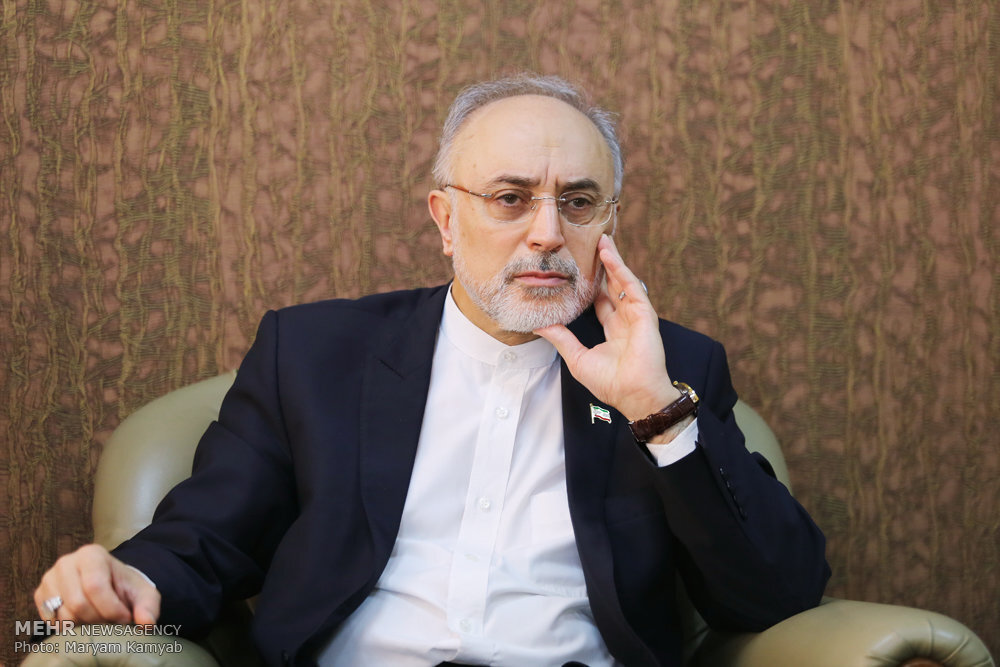 صالحی: خروج از انپیتی در اختیار رهبری است، نه مجلس