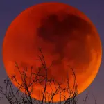ماه خونین در آسمان؛ فرصتی نادر برای مشاهده یکی از شگفتی‌های طبیعت