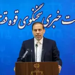 سخنگوی قوه قضائیه ادعای بانک مرکزی درباره بدهی بابک زنجانی را رد کرد