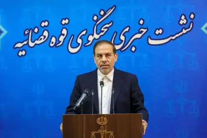 سخنگوی قوه قضائیه ادعای بانک مرکزی درباره بدهی بابک زنجانی را رد کرد