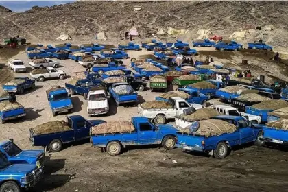 رئیس‌کل دادگستری کرمان: ۳۰ میلیون لیتر سوخت قاچاق شناسایی شد