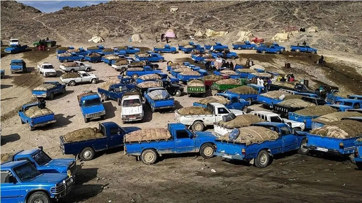رئیس‌کل دادگستری کرمان: ۳۰ میلیون لیتر سوخت قاچاق شناسایی شد