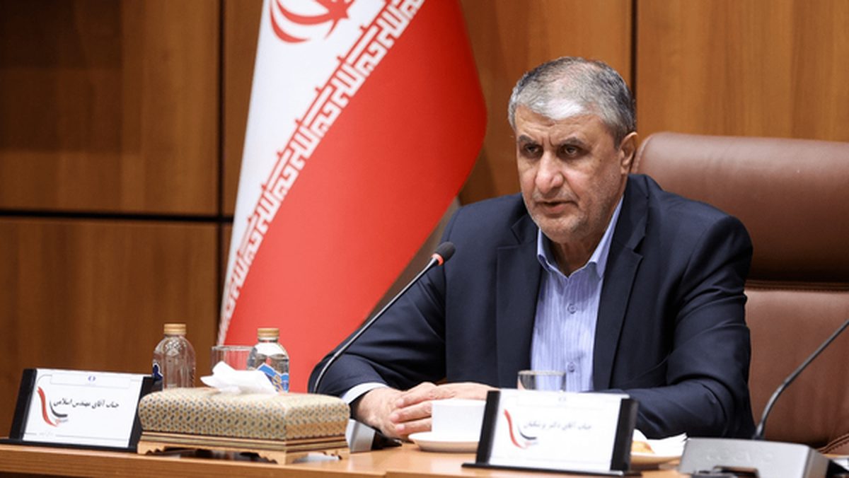 رئیس سازمان انرژی اتمی: ایران و روسیه قرارداد ساخت هشت نیروگاه اتمی امضا کردند