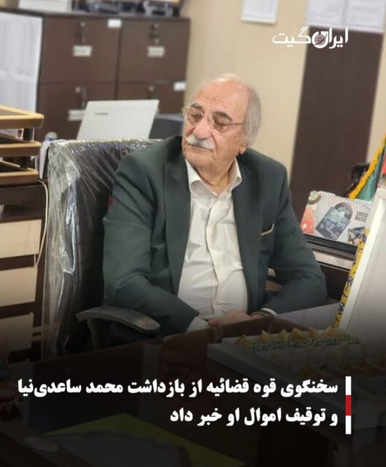 سخنگوی قوه قضائیه از بازداشت محمد ساعدینیا و توقیف اموال او خبر داد