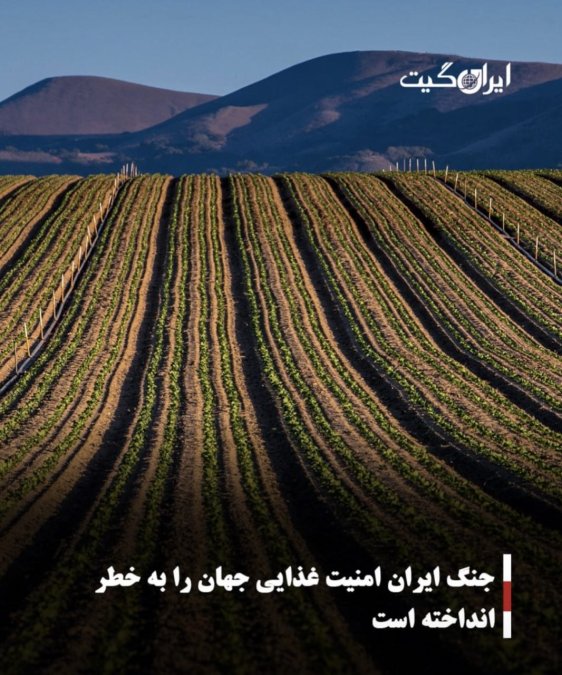 جنگ ایران امنیت غذایی جهان را به خطر انداخته است